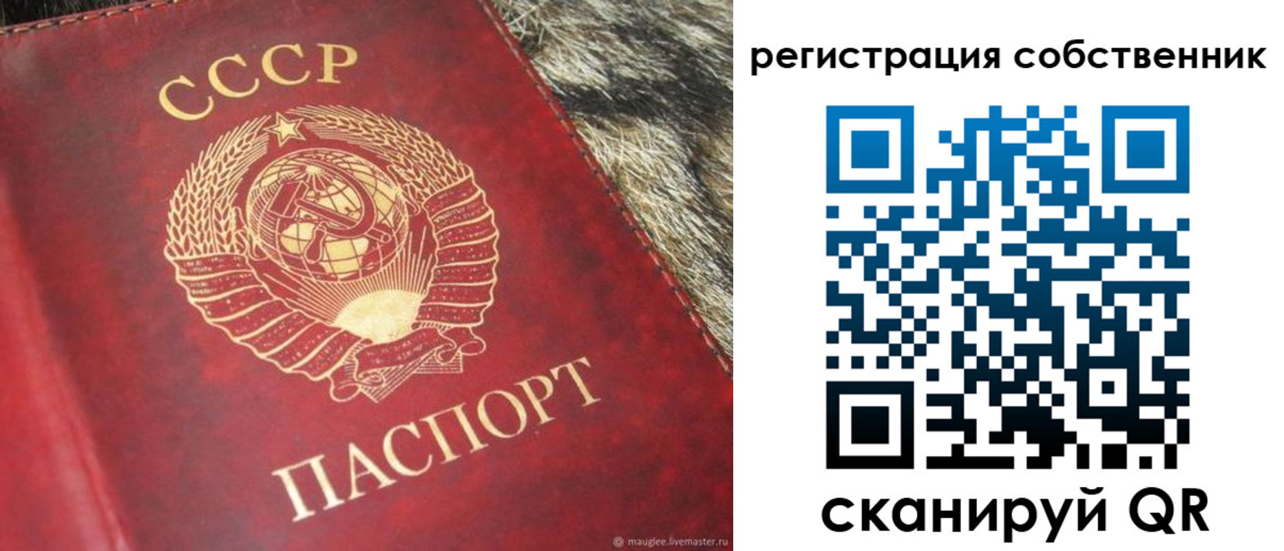 временная регистрация надежно в Реже
